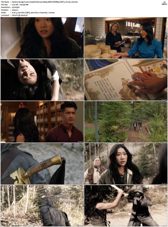 Kung Fu 2021 S01 S03 SUPER-PACK 1080p BluRay-WEB DDP 5 1 x265-iVy