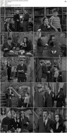 The Addams Family 1964 S01 S02 DVDRip X264-NGP