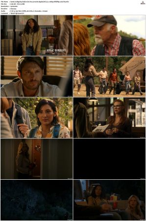 Big Sky S01-S03 1080p WEBRip EAC3 5.1 x265-iVy