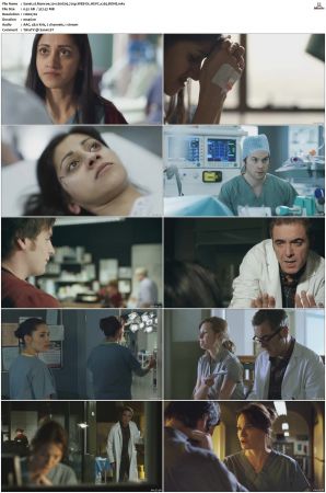 Monroe 2011 S01 S02 720p WEB-DL HEVC x265 BONE