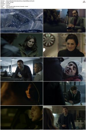 Absentia S01 S03 SUPER-PACK WEBRip EAC3 5 1 1080p x265-iVy
