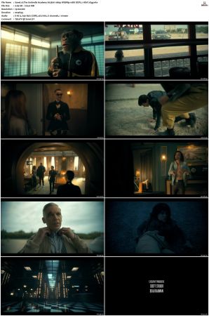 The Umbrella Academy S01-S04 1080p NF WEBRip 10Bit DDP5.1 HEVC-d3g