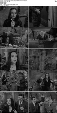 The Addams Family 1964 S01 S02 DVDRip X264-NGP