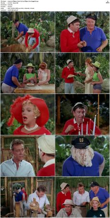 Gilligans Island S01 S03 DVDRip H264-NGP