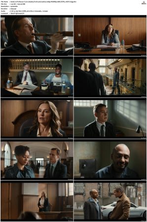 Professor T 2021 S01 S03 1080p WEBRip 10Bit DDP2 0 HEVC-d3g