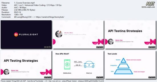 API Testing Strategies By marko-vajs
