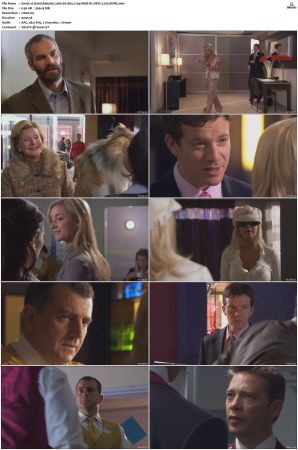 Hotel Babylon 2006 S01 S04 720p WEB-DL HEVC x265 BONE