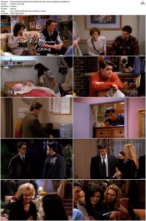 Friends S01-S10 SUPER-PACK 720p BluRay x265-BMF
