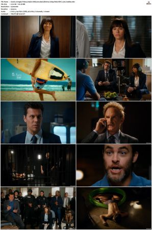 Angie Tribeca S01 S04 SUPER-PACK 1080p Web DDP5 1 HEVC x265-JoeBee