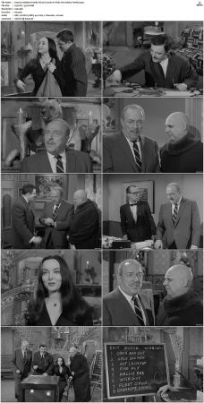 The Addams Family 1964 S01 S02 DVDRip X264-NGP