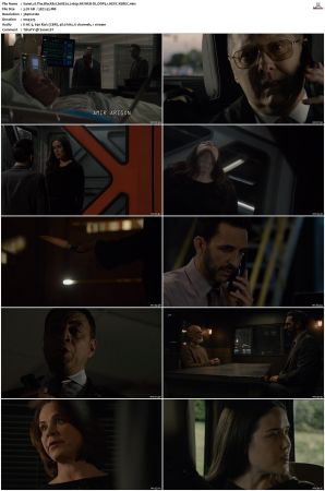 The Blacklist S08 2160p NF WEB-DL DDP5 1 HEVC-XEBEC