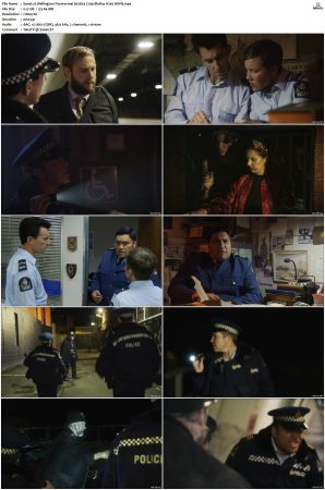 Wellington Paranormal S01 S04 720p BluRay H265 BONE