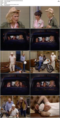 Alice S01-S09 480p DVDRip AAC2.0 x264-NGP