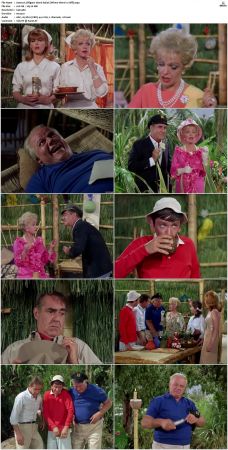 Gilligans Island S01 S03 DVDRip H264-NGP