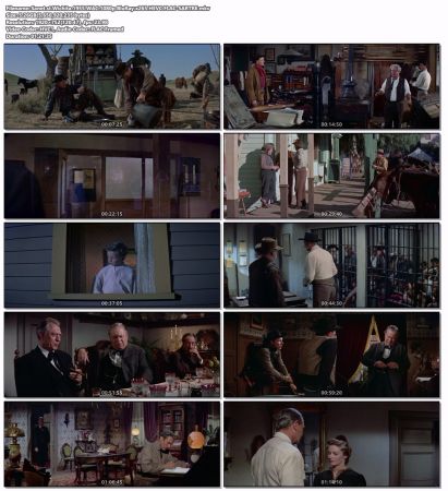 Wichita 1955 WAC 1080p BluRay x265 HEVC FLAC-SARTRE