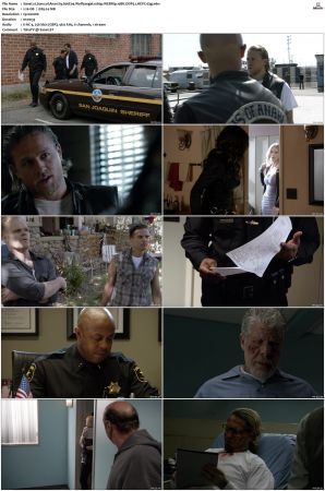 Sons of Anarchy S01-S07 SUPER-PACK 1080p WEBRip 10Bit DDP5.1 HEVC-d3g