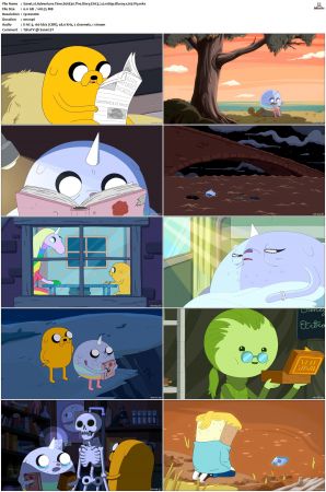 Adventure Time 2008 S01-S10 + Fionna and Cake 1080p Bluray EAC3 2.0 x265-iVy