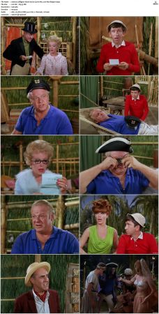 Gilligans Island S01 S03 DVDRip H264-NGP