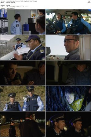 Wellington Paranormal S01 S04 720p BluRay H265 BONE