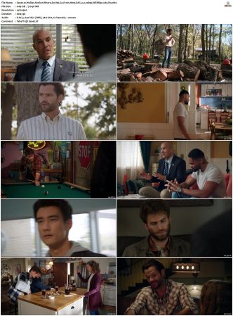 Walker S01 S04 WEBRip EAC3 5 1 1080p x265-iVy