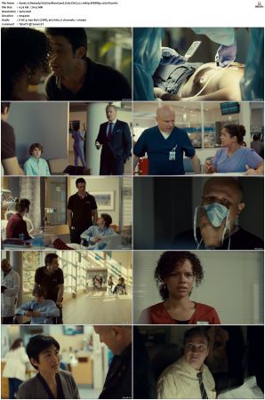 Remedy S01 S02 WEBRip EAC3 2 0 x265-iVy