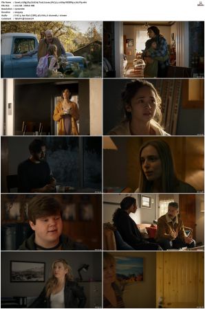 Big Sky S01 S03 WEBRip EAC3 5 1 1080p x265-iVy
