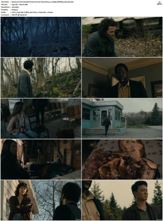 From S01 S02 WEBRip EAC3 5 1 x265-iVy