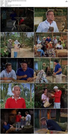 Gilligans Island S01 S03 DVDRip H264-NGP