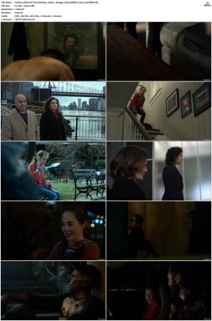 Marvels The Punisher S01 S02 720p WEBDL x265-BMF