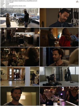 Walker S01-S04 1080p WEBRip EAC3 5.1 x265-iVy