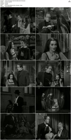The Munsters 1964 S01 S02 DVDRip MPEG-NGP