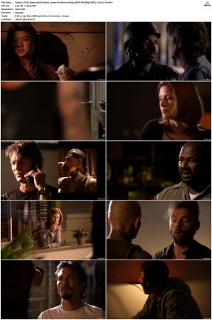 The Cleaner S01 S02 1080p AMZN WEBRip DDP 5 1 x265-iVy