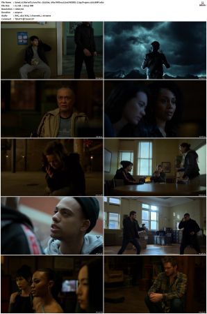 Marvels Iron Fist S01 S02 720p Bluray AAC x265-BMF