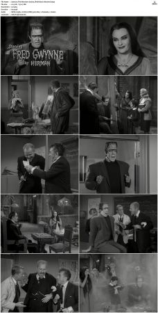 The Munsters 1964 S01 S02 DVDRip MPEG-NGP