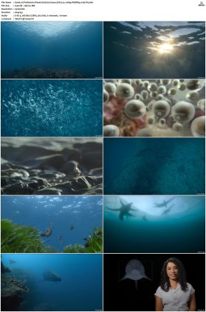 Prehistoric Planet S01-S02 1080p WEBRip EAC3 5.1 x265-iVy