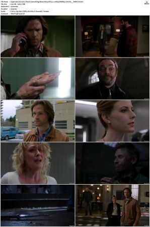 Supernatural S01 S15 WEBRip EAC3 2 0 1080p x265-iVy