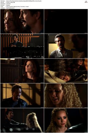 The Cleaner S01 S02 1080p AMZN WEBRip DDP 5 1 x265-iVy