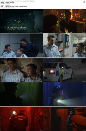 Wellington Paranormal S01 S04 720p BluRay H265 BONE