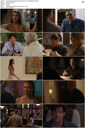 Almost Paradise S01 S02 WEBRip EAC3 5 1 1080p x265-iVy