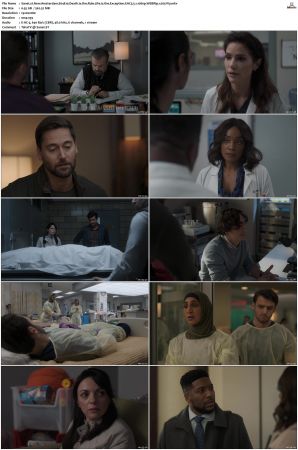 New Amsterdam 2018 S01-S05 1080p WEBRip EAC3 5.1 x265-iVy