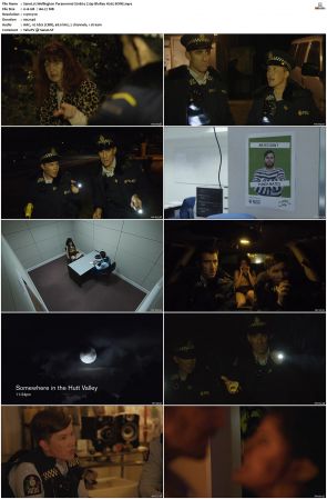 Wellington Paranormal S01 S04 720p BluRay H265 BONE