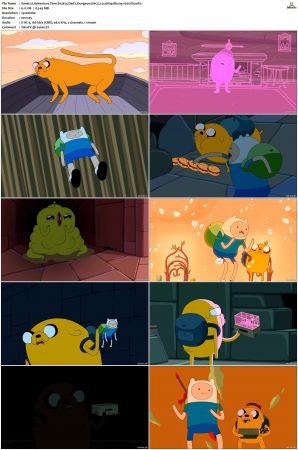 Adventure Time 2008 S01-S10 + Fionna and Cake 1080p Bluray EAC3 2.0 x265-iVy