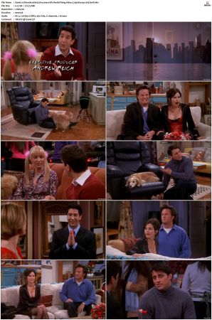 Friends S01-S10 SUPER-PACK 720p BluRay x265-BMF