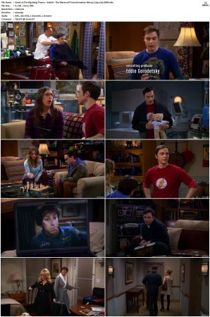 The Big Bang Theory S01 S12 SUPER-PACK Bluray 720p x265-BMF