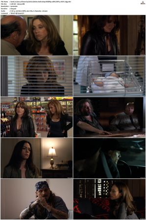 Sons of Anarchy S01 S07 SUPER-PACK 1080p WEBRip 10Bit DDP5 1 HEVC-d3g