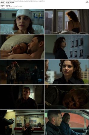 Marvels The Punisher S01 S02 720p WEBDL x265-BMF