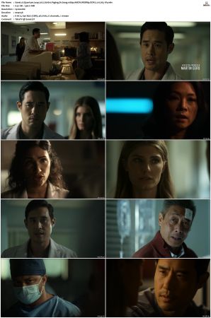 Quantum Leap 2022 S01 S02 1080p AMZN WEBRip DDP 5 1 x265-iVy