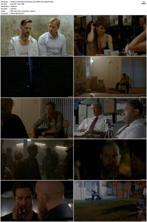 True Detective S01-S04 COMPLETE 720p BluRay x264-GalaxyTV