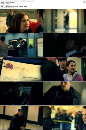 Flashpoint S01 S05 SUPER-PACK 720p BluRay x265-BMF