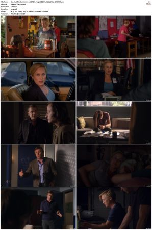 Medium S06 NORDiC 720p WEB-DL H 265 DD5 1-CiNEMiX